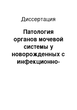 Диссертация: Патология органов мочевой системы у новорожденных с инфекционно-воспалительными заболеваниями (перинатальные факторы риска, клинико-физиологическая характеристика, диагностика, лечение, профилактика)