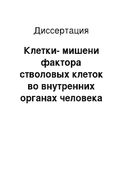 Диссертация: Клетки-мишени фактора стволовых клеток во внутренних органах человека в ходе онтогенеза