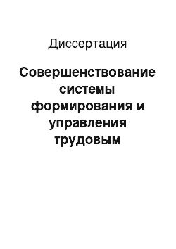 Диссертация: Совершенствование системы формирования и управления трудовым потенциалом на предприятиях легкой промышленности