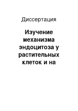 Диссертация: Изучение механизма эндоцитоза у растительных клеток и на модельных системах