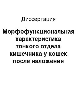 Диссертация: Морфофункциональная характеристика тонкого отдела кишечника у кошек после наложения однорядного непрерывного кишечного шва