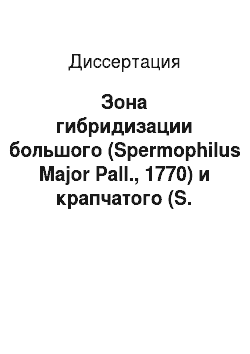 Диссертация: Зона гибридизации большого (Spermophilus Major Pall., 1770) и крапчатого (S. Suslicus Guld., 1770) сусликов: экологические, поведенческие и генетические особенности