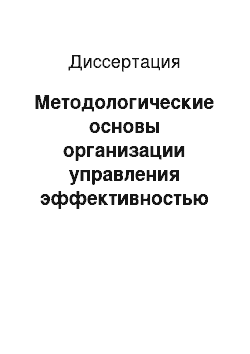 Диссертация: Методологические основы организации управления эффективностью инновационного развития региона: На примере Республики Татарстан