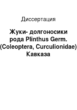Диссертация: Жуки-долгоносики рода Plinthus Germ. (Coleoptera, Curculionidae) Кавказа