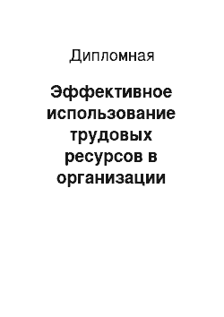 Дипломная: Эффективное использование трудовых ресурсов в организации