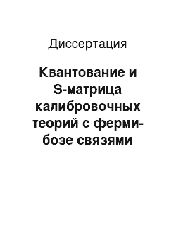 Диссертация: Квантование и S-матрица калибровочных теорий с ферми-бозе связями общего вида