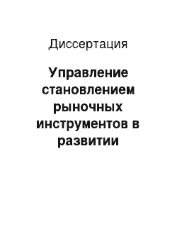 Диссертация: Управление становлением рыночных инструментов в развитии инфраструктуры сельских территорий: На материалах Кабардино-Балкарской Республики