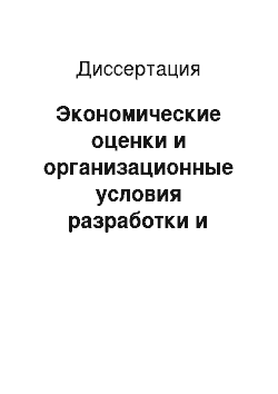 Диссертация: Экономические оценки и организационные условия разработки и промышленного освоения инновационных решений: На примере бытовых электронных счетчиков газа нового поколения