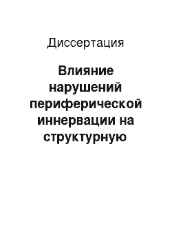 Диссертация: Влияние нарушений периферической иннервации на структурную организацию крупных суставов: (Экспериментально-морфологическое исследование)