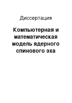 Диссертация: Компьютерная и математическая модель ядерного спинового эха