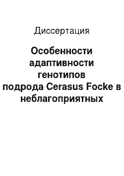Диссертация: Особенности адаптивности генотипов подрода Cerasus Focke в неблагоприятных погодно-климатических условиях Центрального региона России