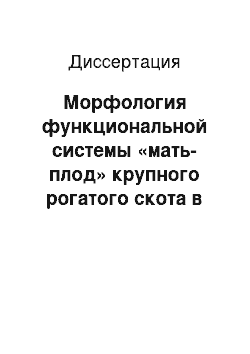 Диссертация: Морфология функциональной системы «мать-плод» крупного рогатого скота в различных экологических зонах Свердловской области