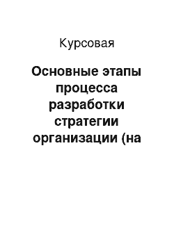 Курсовая: Основные этапы процесса разработки стратегии организации (на примере гипермаркета Эссен)