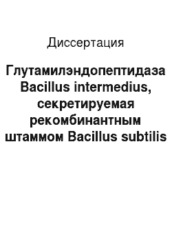 Диссертация: Глутамилэндопептидаза Bacillus intermedius, секретируемая рекомбинантным штаммом Bacillus subtilis на разных фазах роста