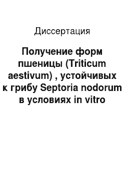 Диссертация: Получение форм пшеницы (Triticum aestivum) , устойчивых к грибу Septoria nodorum в условиях in vitro