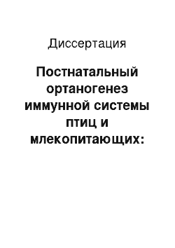 Диссертация: Постнатальный ортаногенез иммунной системы птиц и млекопитающих: Эволюционно-морфологическое исследование