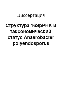 Диссертация: Структура 16SpPHK и таксономический статус Anaerobacter polyendosporus
