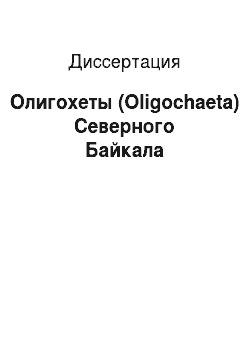 Диссертация: Олигохеты (Oligochaeta) Северного Байкала