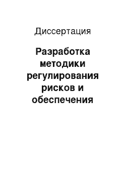 Диссертация: Разработка методики регулирования рисков и обеспечения информационной безопасности при принятии организационно-управленческих решений