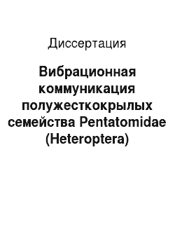 Диссертация: Вибрационная коммуникация полужесткокрылых семейства Pentatomidae (Heteroptera) Европейской части России