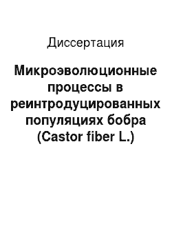 Диссертация: Микроэволюционные процессы в реинтродуцированных популяциях бобра (Сastor fiber L.) Европейской части России