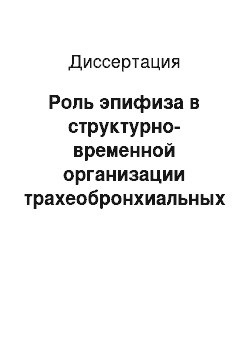 Диссертация: Роль эпифиза в структурно-временной организации трахеобронхиальных лимфатических узлов белых крыс