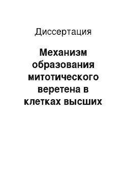 Диссертация: Механизм образования митотического веретена в клетках высших растений