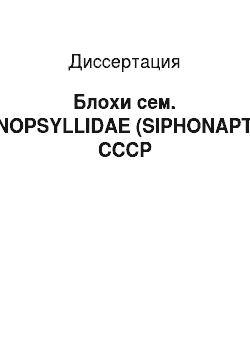 Диссертация: Блохи сем. ISCHNOPSYLLIDAE (SIPHONAPTERA) СССР