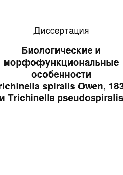 Диссертация: Биологические и морфофункциональные особенности Trichinella spiralis Owen, 1835 и Trichinella pseudospiralis Garkavi, 1972 у различных видов хозяев