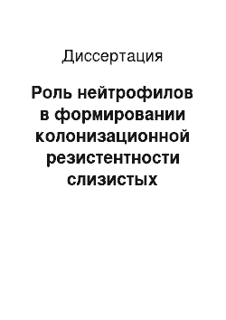 Диссертация: Роль нейтрофилов в формировании колонизационной резистентности слизистых оболочек