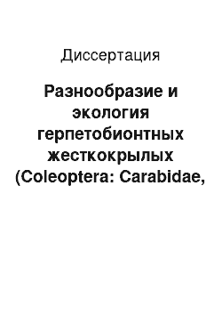 Диссертация: Разнообразие и экология герпетобионтных жесткокрылых (Coleoptera: Carabidae, Staphylinidae) в лесах подзоны средней тайги Республики Коми