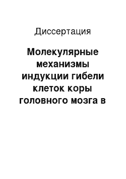 Диссертация: Молекулярные механизмы индукции гибели клеток коры головного мозга в условиях, моделирующих зоны ишемического очага