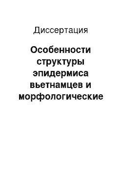 Диссертация: Особенности структуры эпидермиса вьетнамцев и морфологические проявления адаптации меланоцитарной системы эпидермиса к солнечной инсоляции