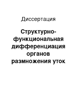 Диссертация: Структурно-функциональная дифференциация органов размножения уток в онтогенезе и сравнительно-видовом аспекте