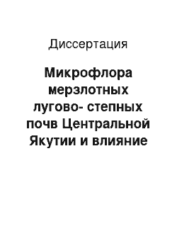 Диссертация: Микрофлора мерзлотных лугово-степных почв Центральной Якутии и влияние на неё разных доз тяжелых металлов