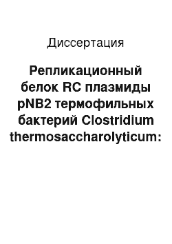 Диссертация: Репликационный белок RC плазмиды pNB2 термофильных бактерий Clostridium thermosaccharolyticum: Идентификация, экспрессия и мутационный анализ