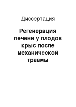 Диссертация: Регенерация печени у плодов крыс после механической травмы