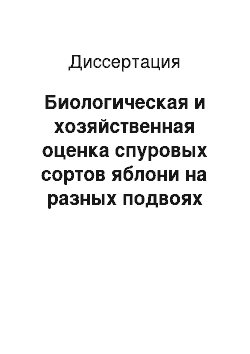 Диссертация: Биологическая и хозяйственная оценка спуровых сортов яблони на разных подвоях