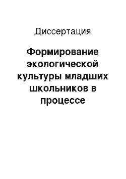 Диссертация: Формирование экологической культуры младших школьников в процессе краеведческой деятельности