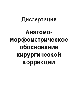 Диссертация: Анатомо-морфометрическое обоснование хирургической коррекции сколиотической деформации