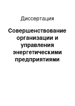 Диссертация: Совершенствование организации и управления энергетическими предприятиями региона: На прим. комплекса энергет. предприятий Рязан. обл