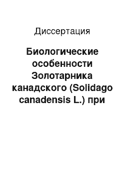 Диссертация: Биологические особенности Золотарника канадского (Solidago canadensis L.) при интродукции в условиях Ставропольской возвышенности