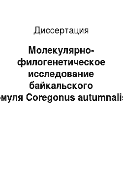 Диссертация: Молекулярно-филогенетическое исследование байкальского омуля Coregonus autumnalis migratorius (Georgi)