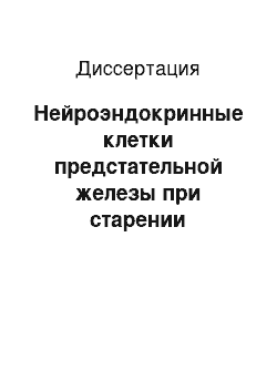 Диссертация: Нейроэндокринные клетки предстательной железы при старении