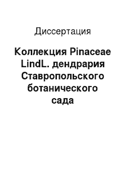 Диссертация: Коллекция Pinaceae LindL. дендрария Ставропольского ботанического сада