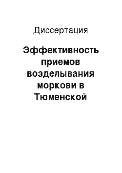 Диссертация: Эффективность приемов возделывания моркови в Тюменской области