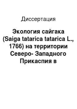Диссертация: Экология сайгака (Saiga tatarica tatarica L., 1766) на территории Северо-Западного Прикаспия в условиях депрессии численности