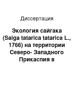 Диссертация: Экология сайгака (Saiga tatarica tatarica L., 1766) на территории Северо-Западного Прикаспия в условиях депрессии численности