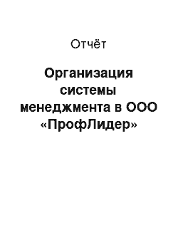 Отчёт: Организация системы менеджмента в ООО «ПрофЛидер»