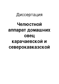 Диссертация: Челюстной аппарат домашних овец карачаевской и северокавказской пород в постнатальном онтогенезе